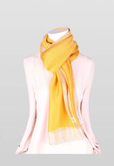 Shimmer Border Silk Chiffon